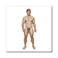 Ross - Nude Male Magnet