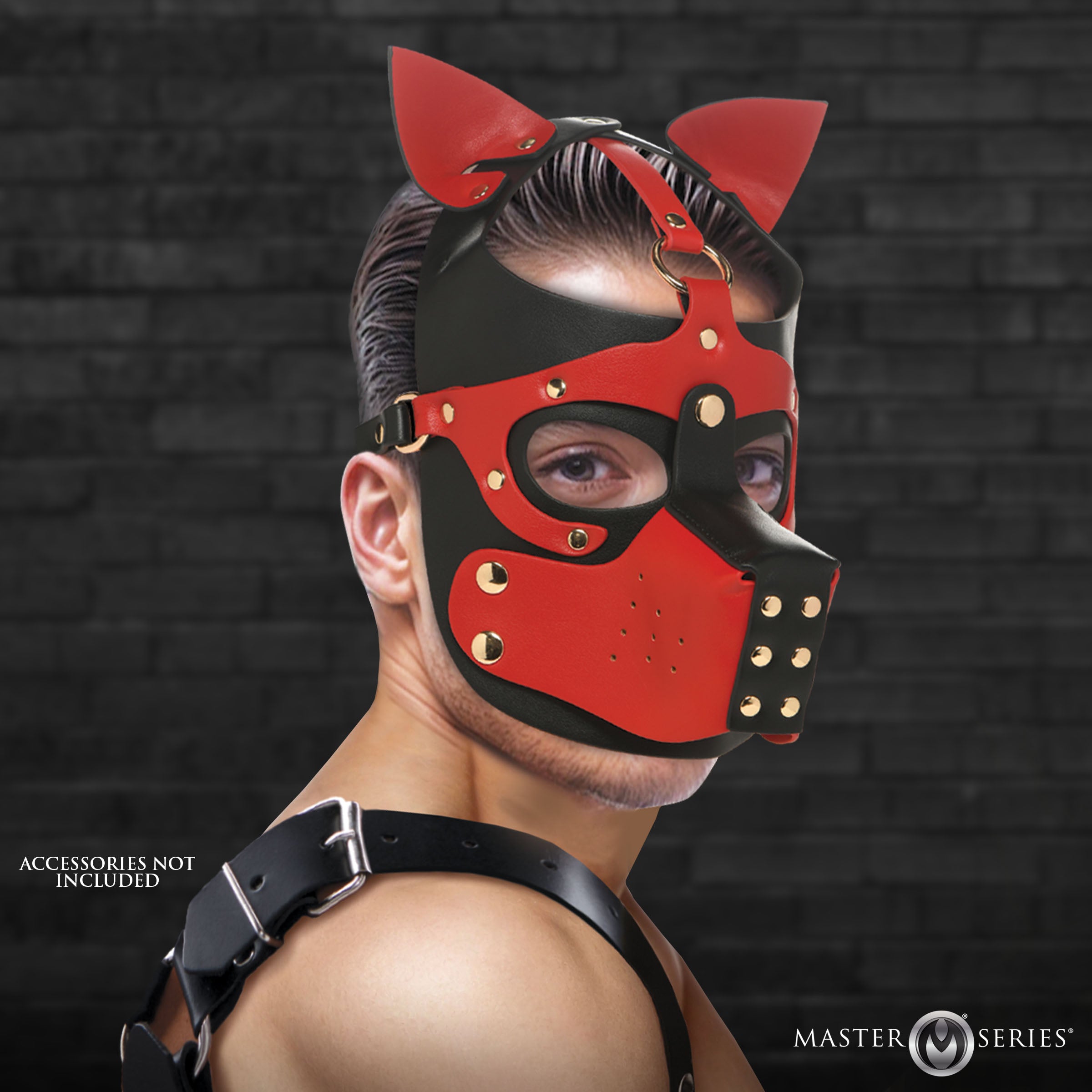 Hound Hood with Muzzle
